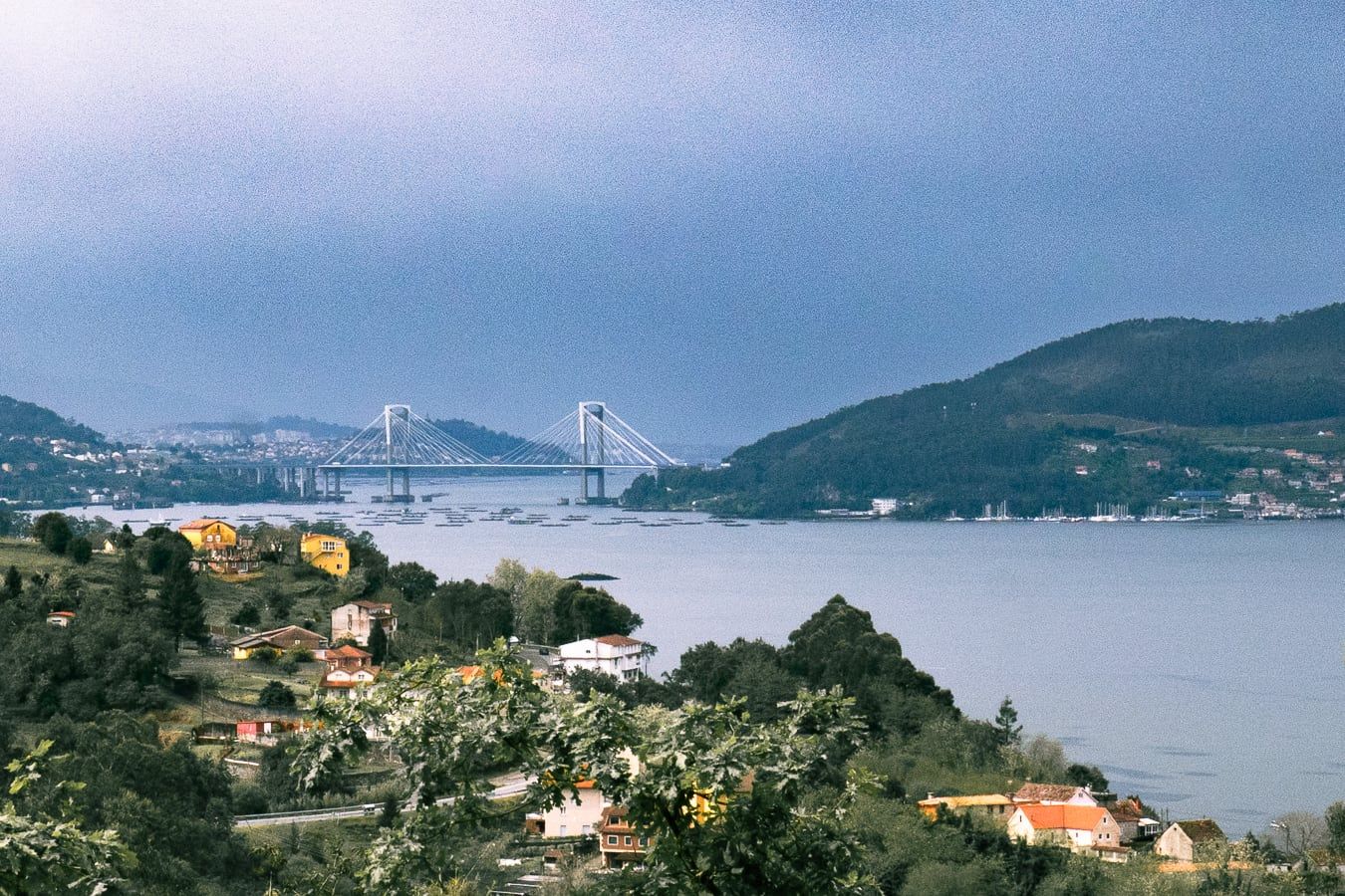 A bridge over a bay, seen from a hillside
