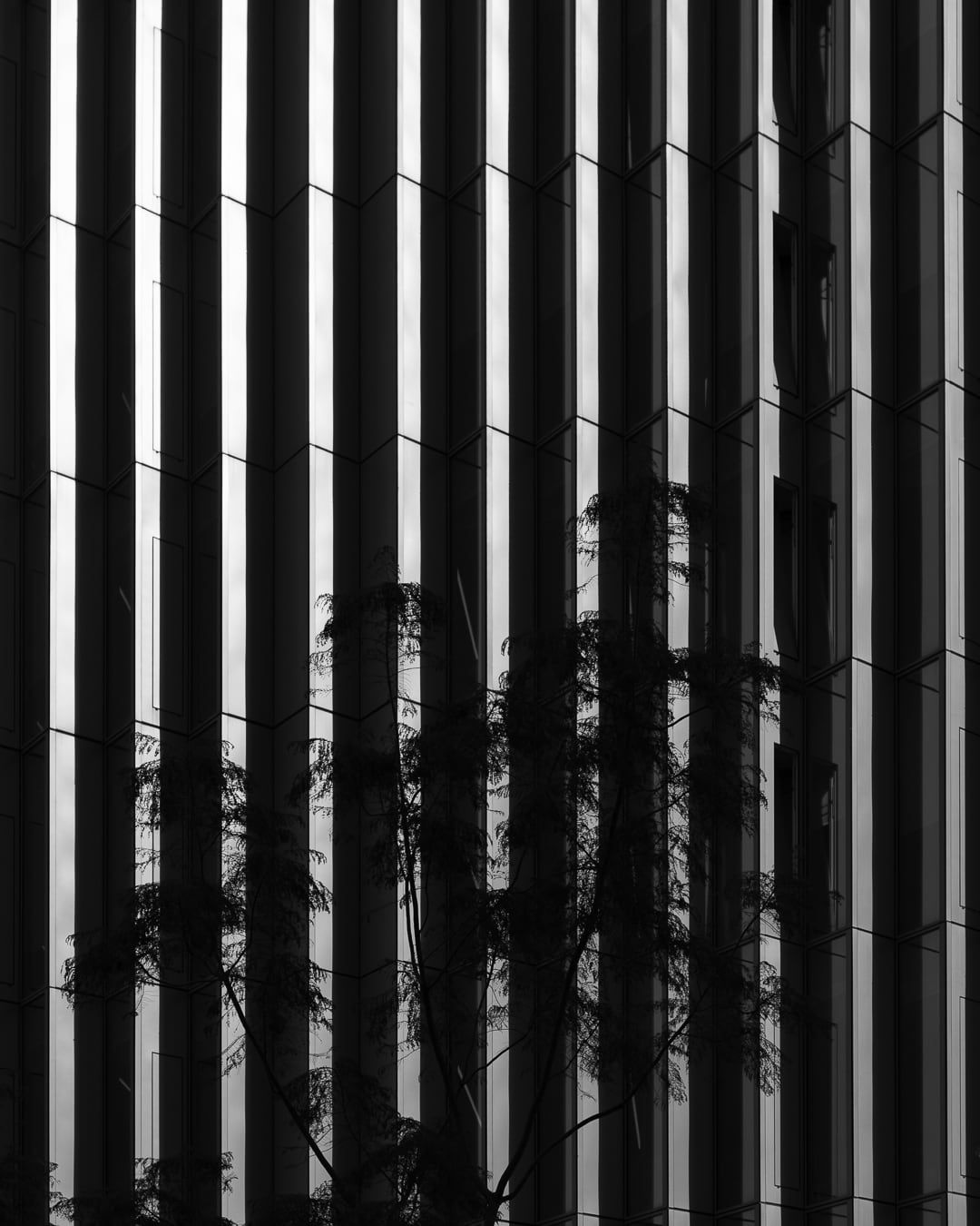 A facade of vertical fins behind a bare tree