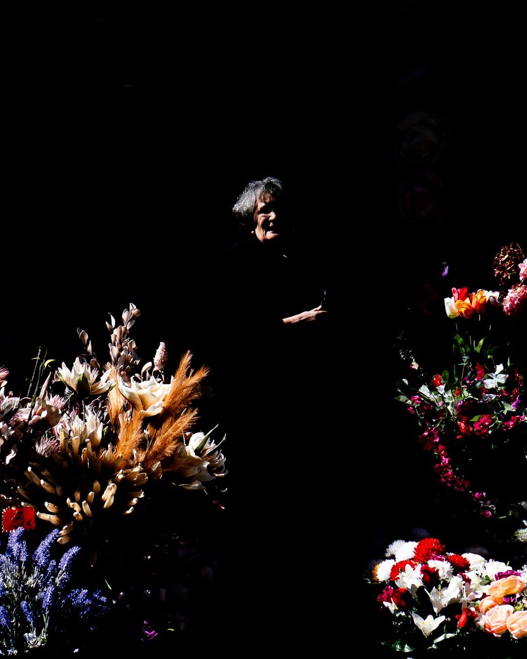 Flowers glowing in shadow