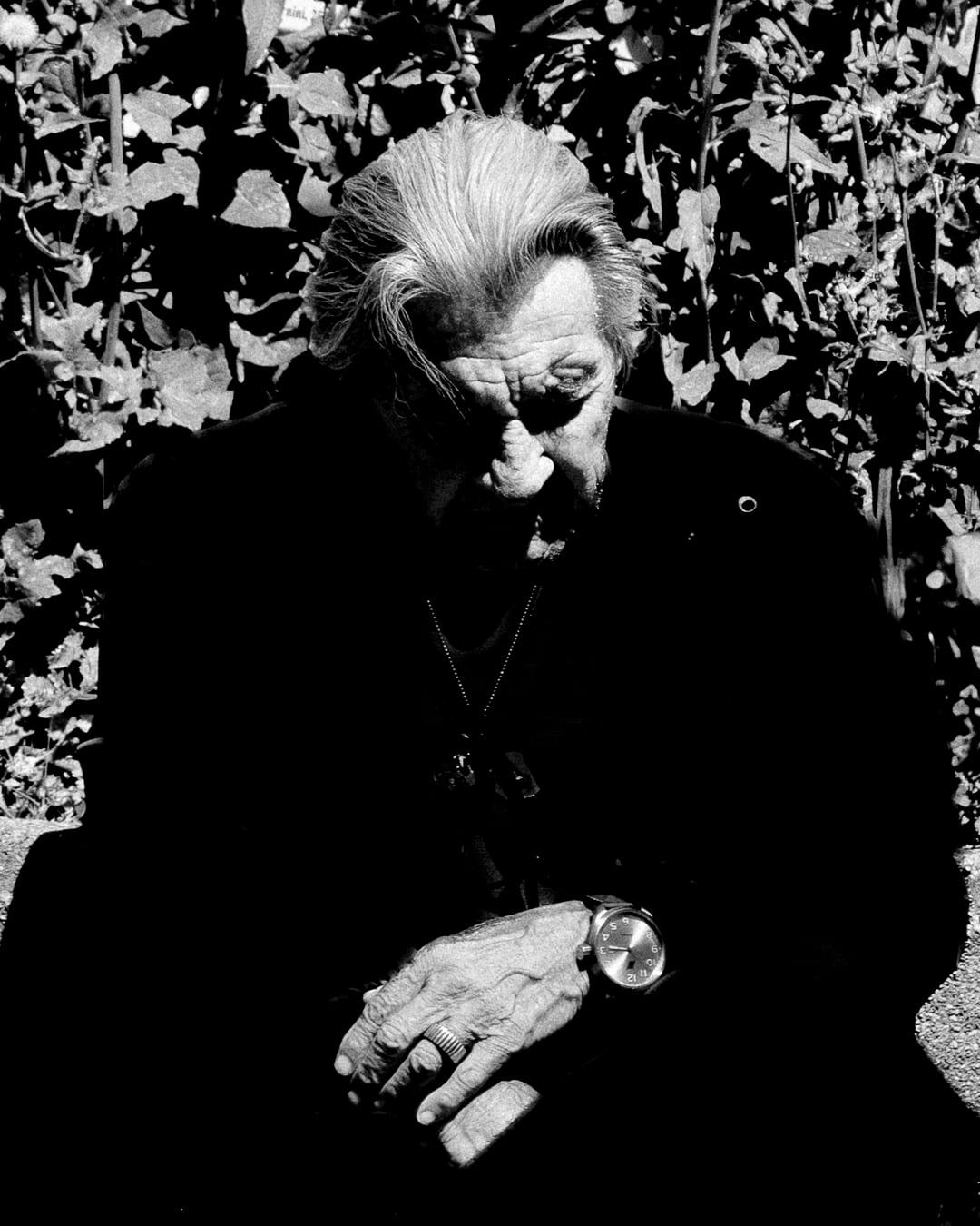 An old woman in front of ivy, in hard light